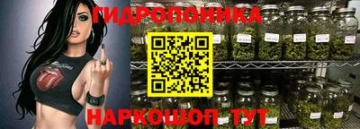 дурь Пугачёв