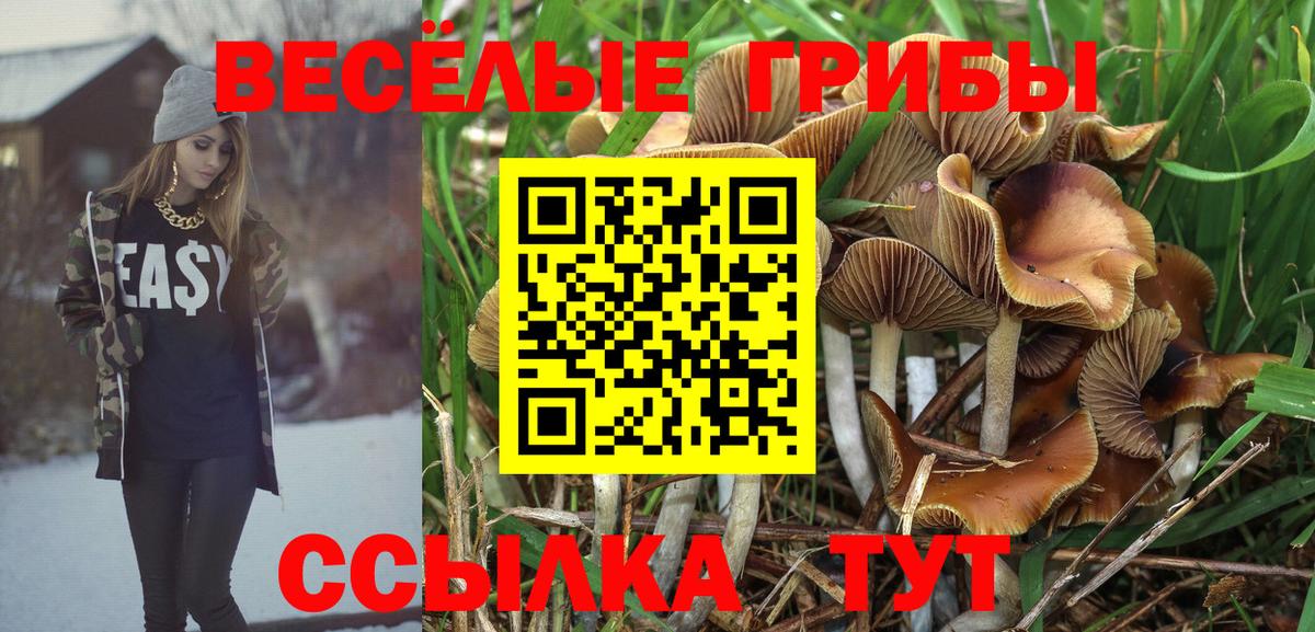 Галлюциногенные грибы GOLDEN TEACHER  Вход с VPN  закладка  Саранск 